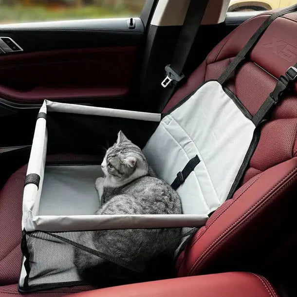 Chat installé dans son Siège Confort GrosMatou en voiture
