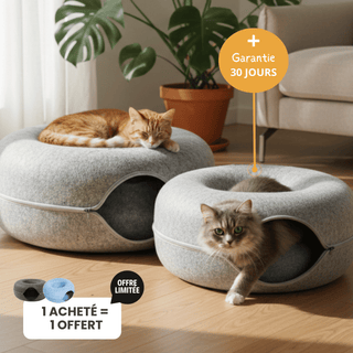 Le Donut du Matou