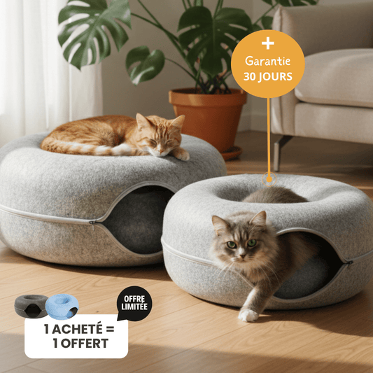 La Grotte du Matou — Lit, Tunnel et Griffoir tout-en-un.