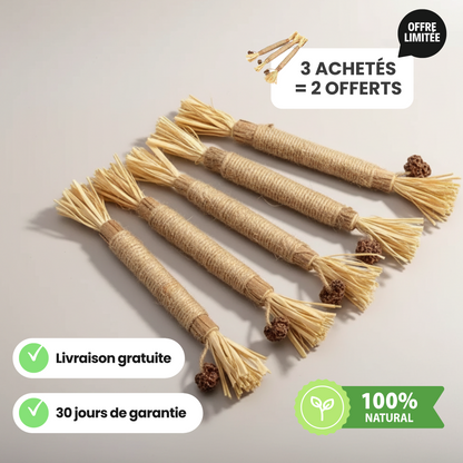 Bâtonnet GrosMatou — Le soin dentaire 100% naturel pour votre chat