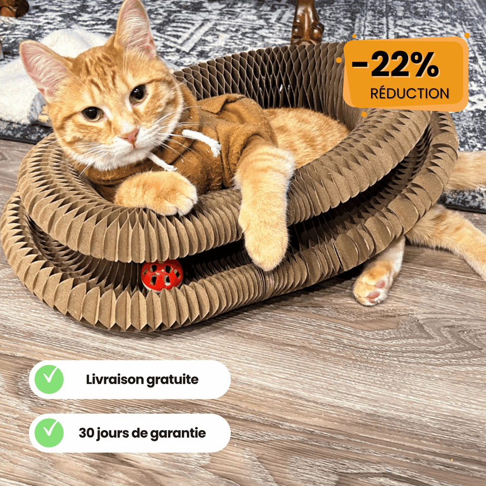 Le Griffoir GrosMatou