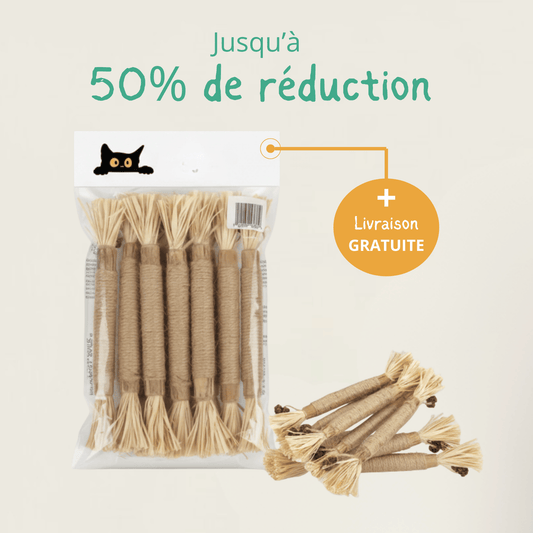 Bâtonnet GrosMatou — Le soin dentaire 100% naturel pour votre chat