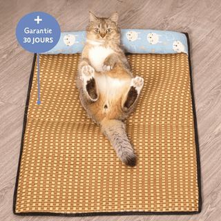 Tapis Rafraîchissant pour Chat
