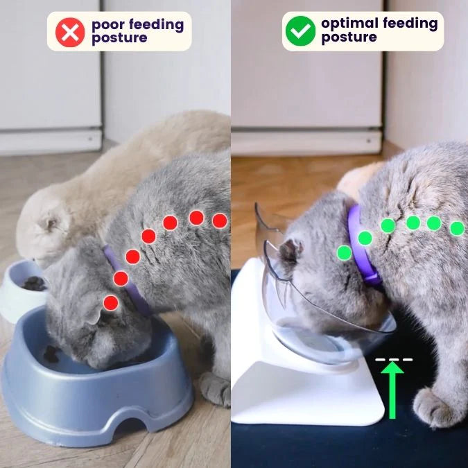 Comparaison de posture avant / après