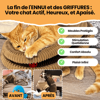 Le Griffoir GrosMatou