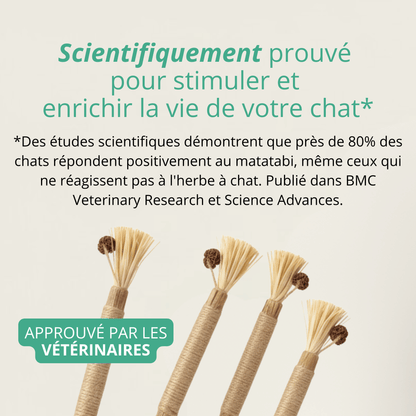 Bâtonnet GrosMatou — Le soin dentaire 100% naturel pour votre chat