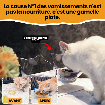 Royal Matou — La fin des vomis post-repas.