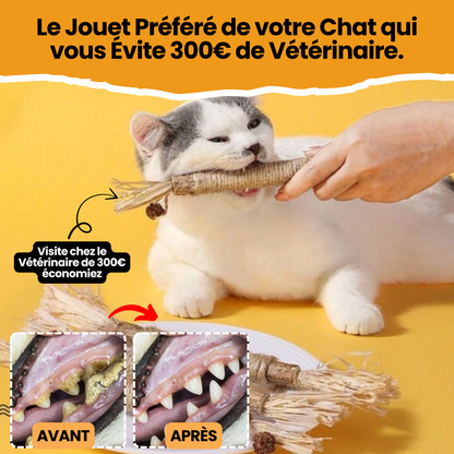 Bâtonnet GrosMatou — Le soin dentaire 100% naturel pour votre chat