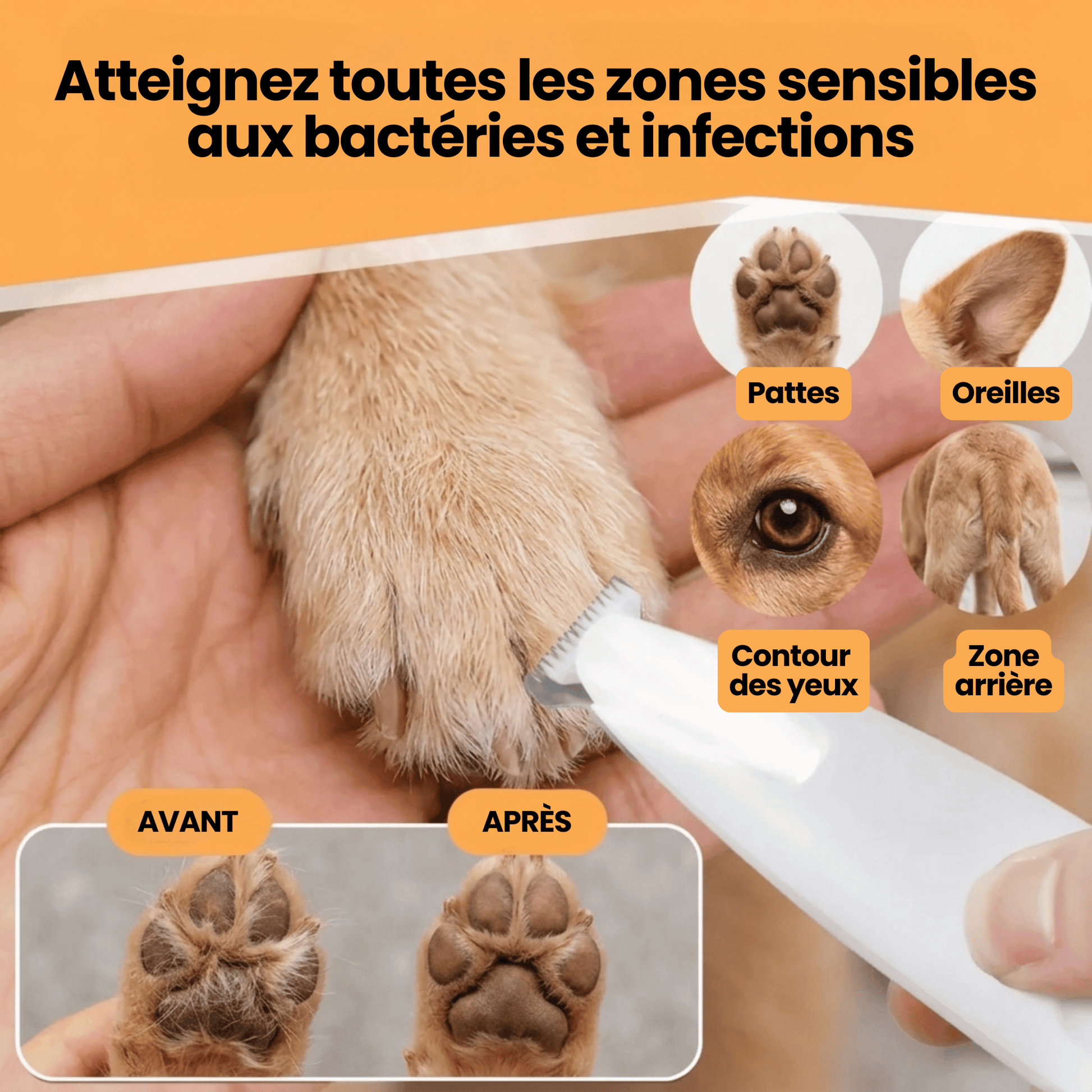 Tondeuse chien sans fil