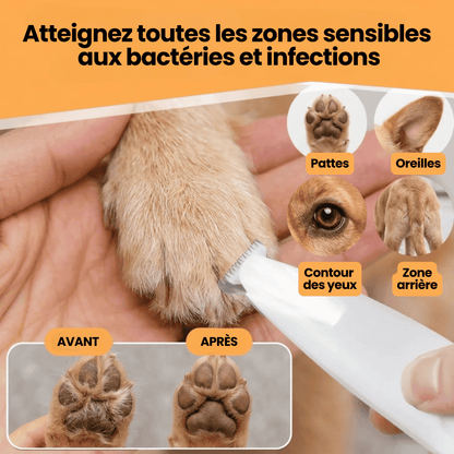 Tondeuse chien sans fil