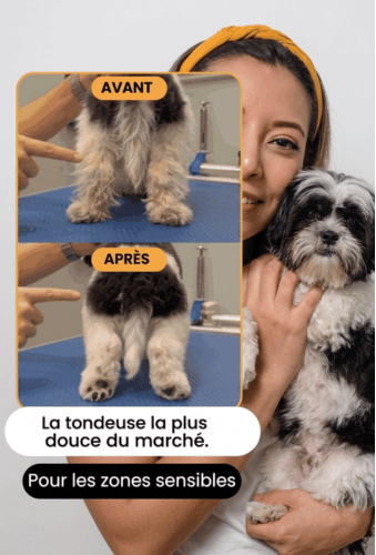 Aperçu de la vidéo tondeuse silencieuse pour chien