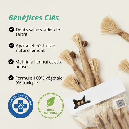 Bâtonnet GrosMatou — Le soin dentaire 100% naturel pour votre chat