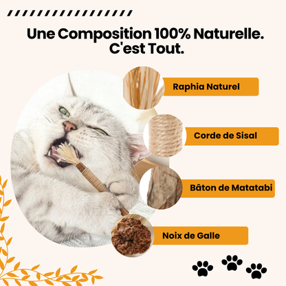 Bâtonnet GrosMatou — Le soin dentaire 100% naturel pour votre chat