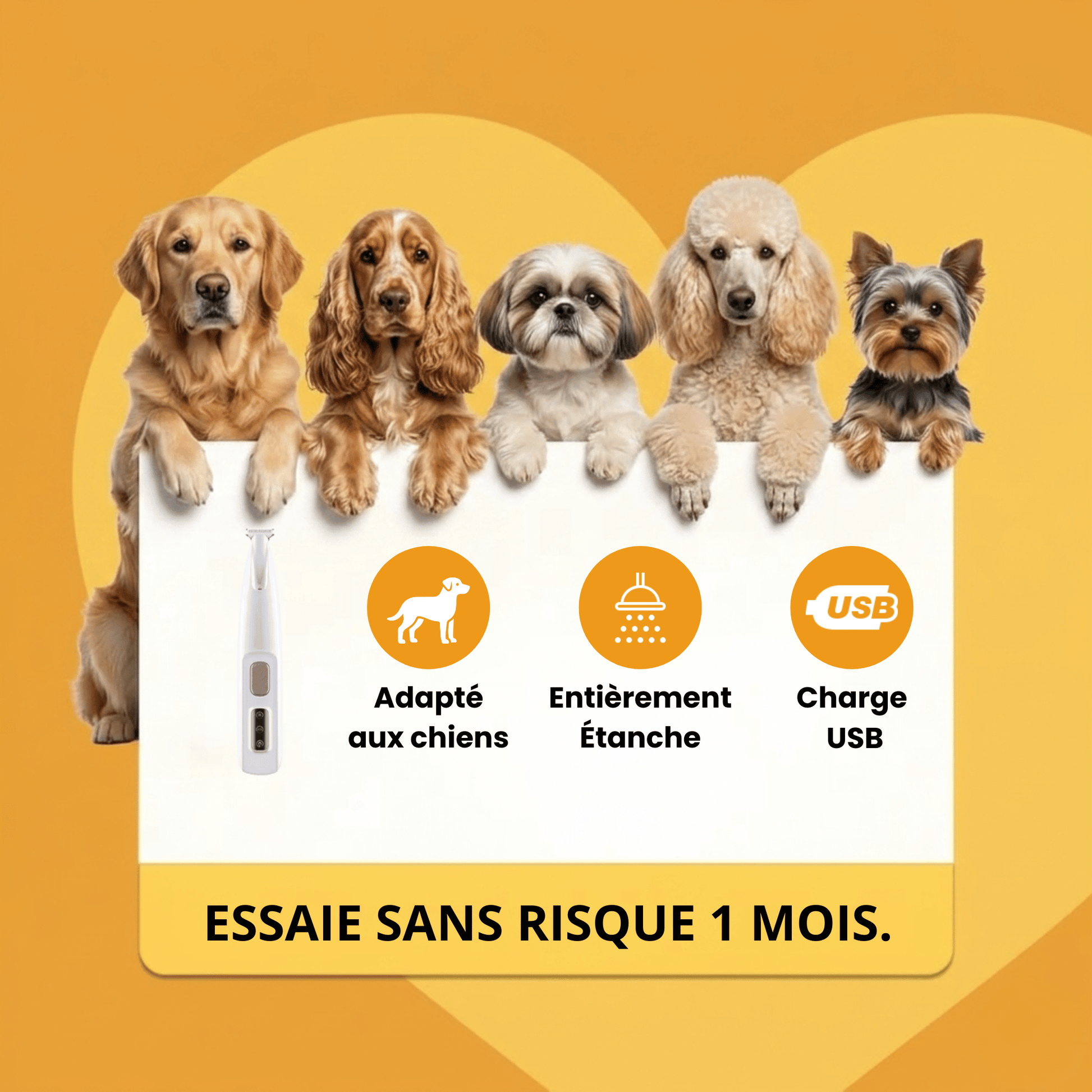 Tondeuse Chien Silencieuse Sans Fil GrosMatou