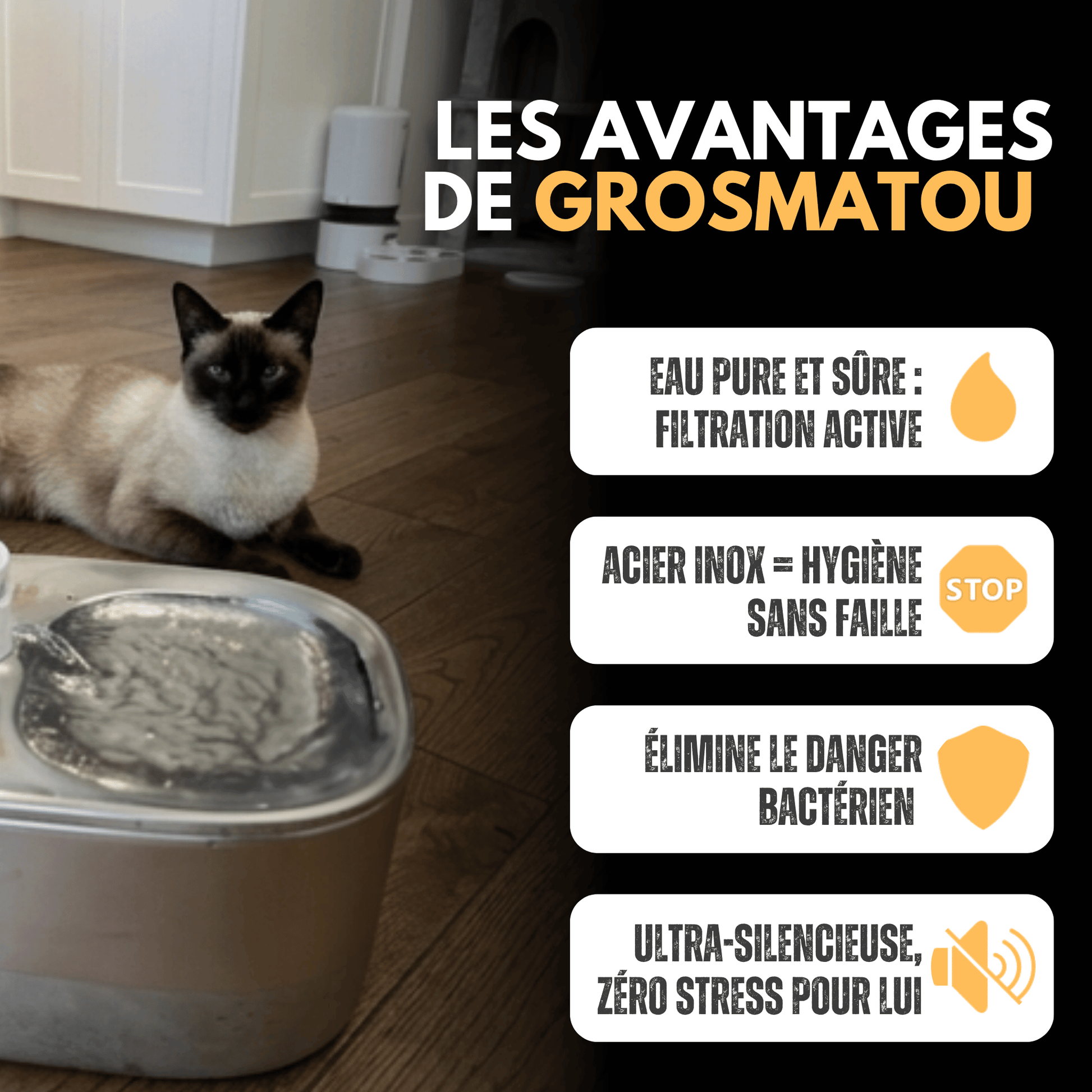 Fontaine Sans Fil 4L Acier Inox Premium