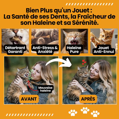 Bâtonnet GrosMatou — Le soin dentaire 100% naturel pour votre chat