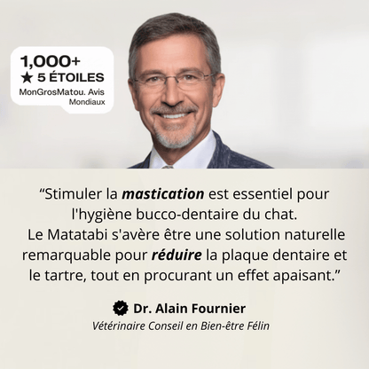 Bâtonnet GrosMatou — Le soin dentaire 100% naturel pour votre chat