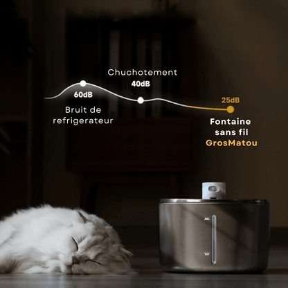 Fontaine Sans Fil: La Solution Vétérinaire Anti-Déshydratation en Inox !