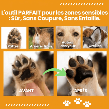 Tondeuse chien IPX7 etanche