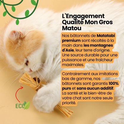 Bâtonnet GrosMatou — Le soin dentaire 100% naturel pour votre chat