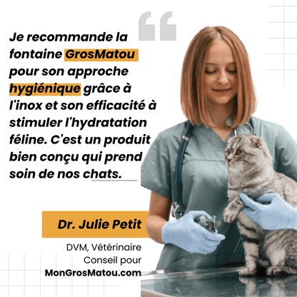 Fontaine Sans Fil: La Solution Vétérinaire Anti-Déshydratation en Inox !