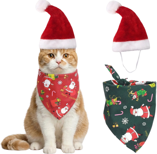 Déguissement de Noël