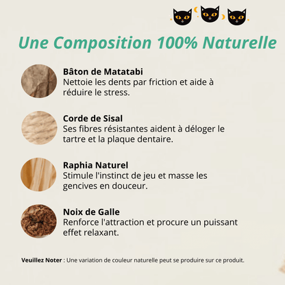 Bâtonnet GrosMatou — Le soin dentaire 100% naturel pour votre chat
