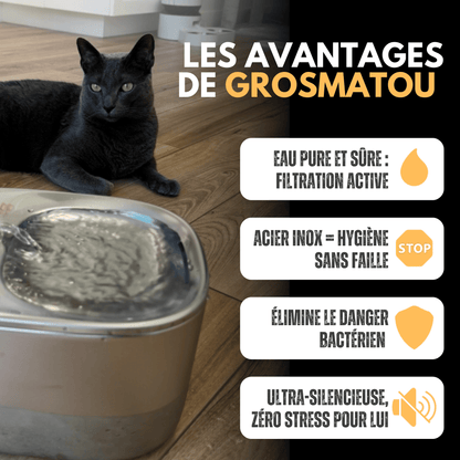 Fontaine Sans Fil: La Solution Vétérinaire Anti-Déshydratation en Inox !