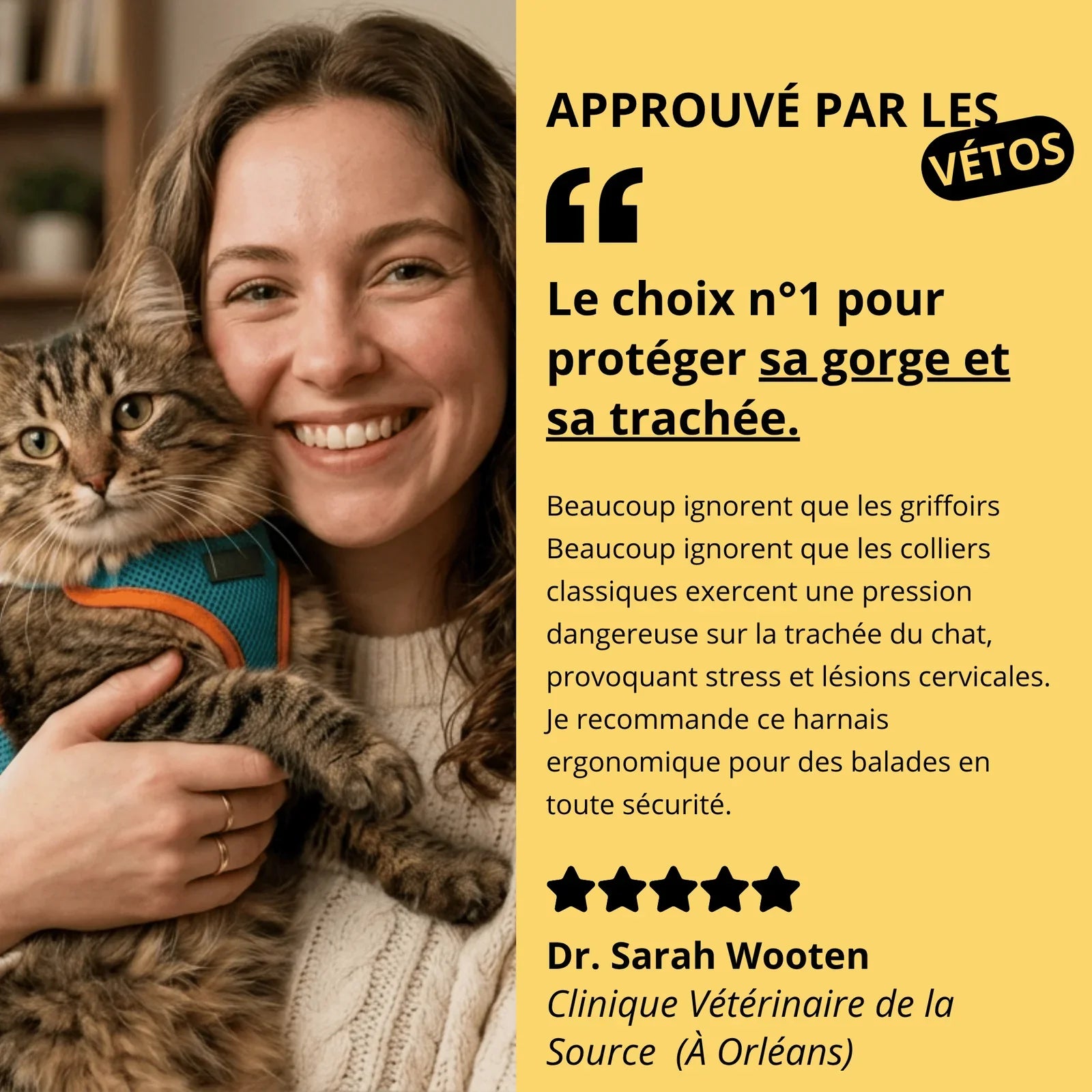 Harnais Anti-Fugue & Laisse — Pour Chat d'Intérieur & Aventurier