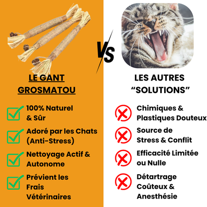 Bâtonnet GrosMatou — Le soin dentaire 100% naturel pour votre chat