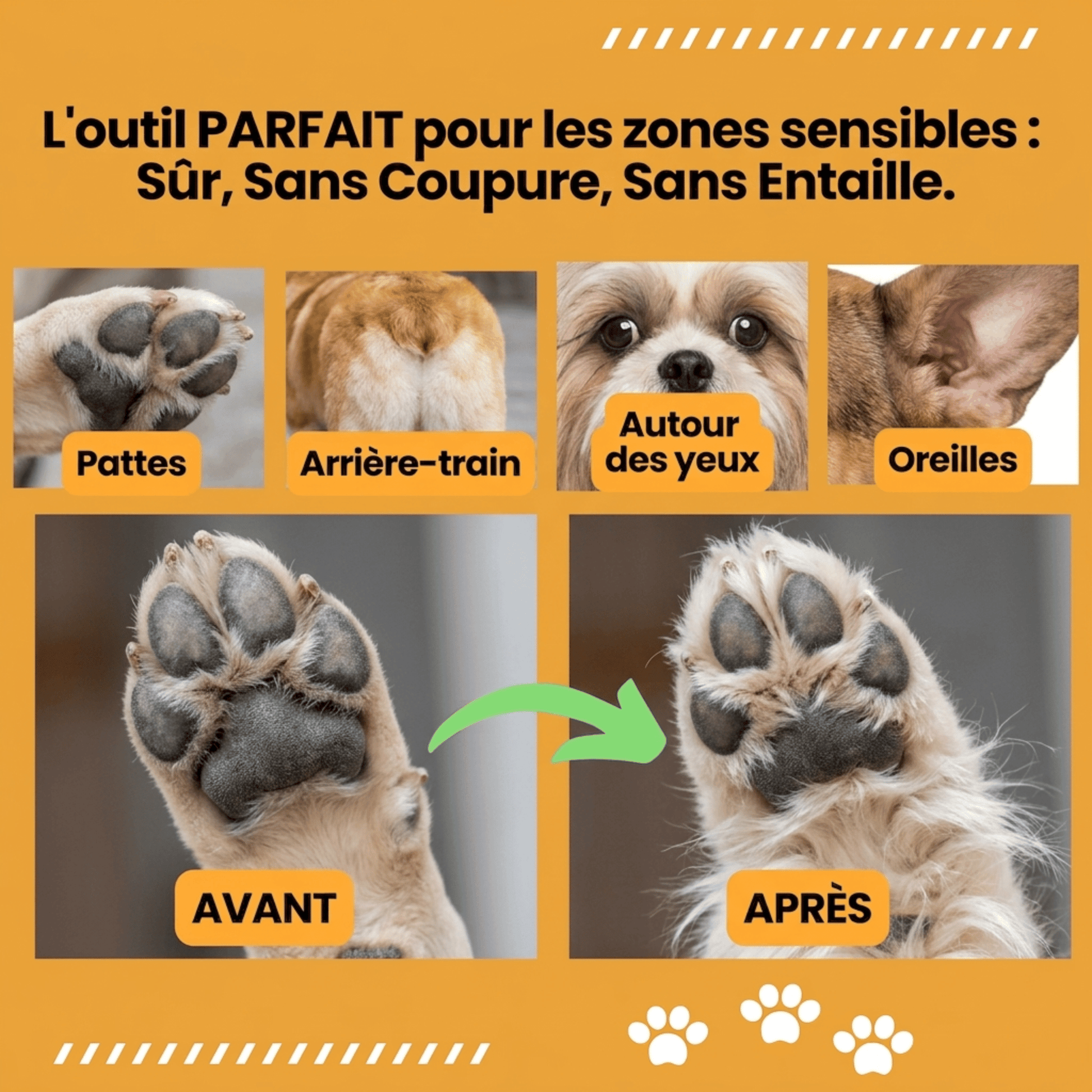 Tondeuse Chien Silencieuse Sans Fil GrosMatou