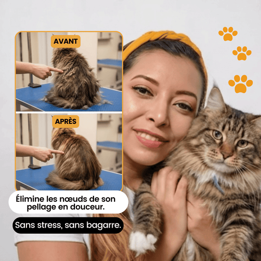 Tondeuse de toilettage GrosMatou — Douceur & Sécurité