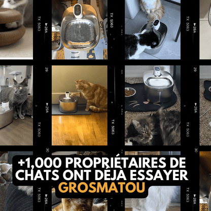 Fontaine Sans Fil: La Solution Vétérinaire Anti-Déshydratation en Inox !