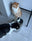 Photo de profil d'un client satisfait