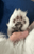 Photo de profil d'un client satisfait