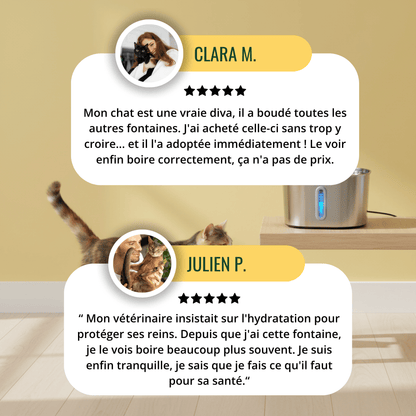 Fontaine Inox GrosMatou — L'eau fraîche et saine, 24h/24.