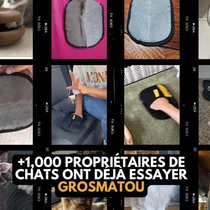 Le Gant GrosMatou — Brossez, massez et ramassez les poils sans effort