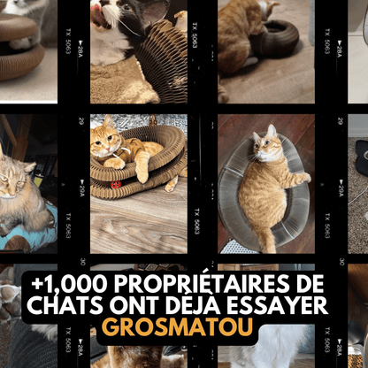 Le Griffoir GrosMatou