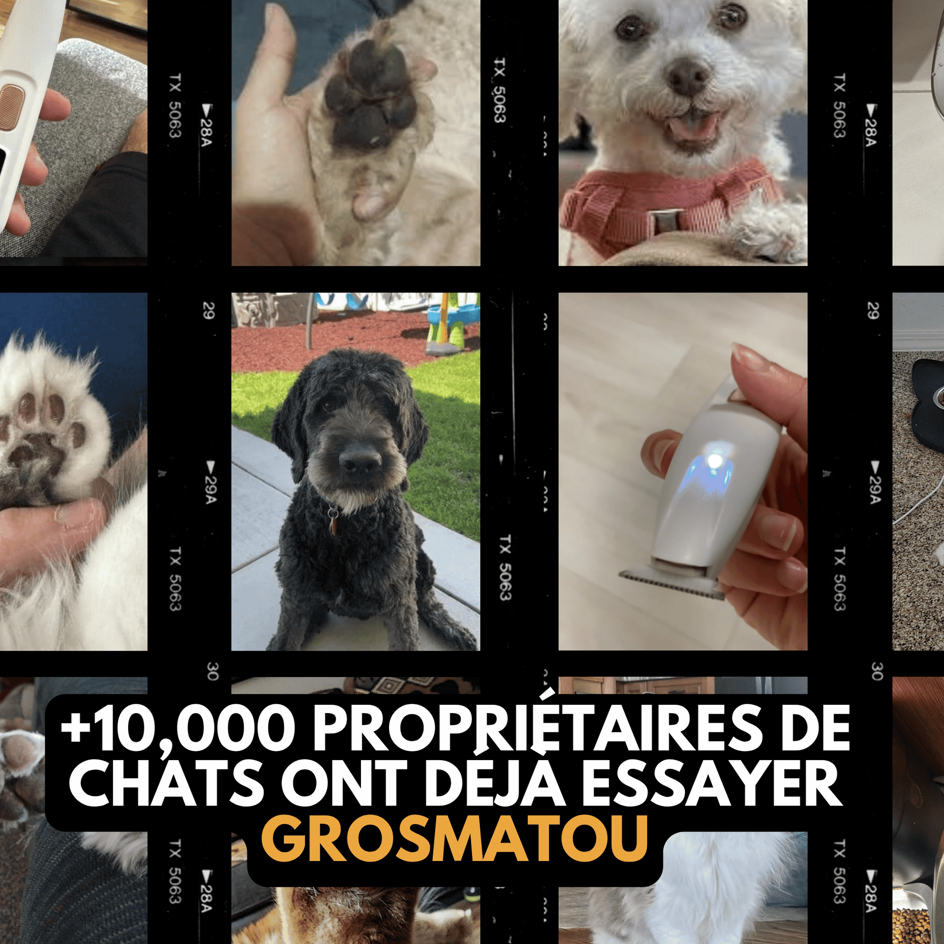 Tondeuse Chien Silencieuse Sans Fil GrosMatou