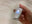 Avatar chat