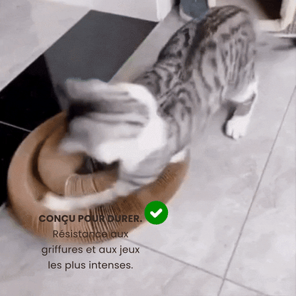Le Griffoir GrosMatou