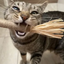 Avatar chat 1