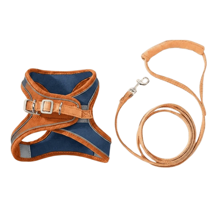Harnais Anti-Fugue & Laisse — Pour Chat d'Intérieur & Aventurier — Standard / Bleu | Orange