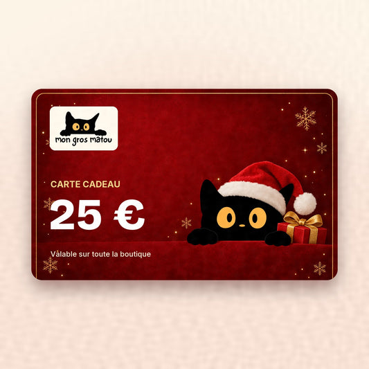 Carte cadeau Mon Gros Matou de 25 €