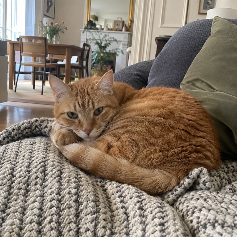 Caramel