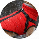 La pluie perle, il reste au sec