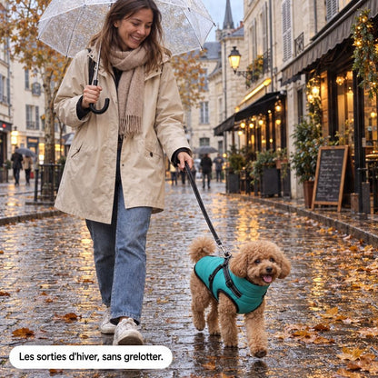 Femme qui promène son caniche toy en manteau turquoise sous la pluie