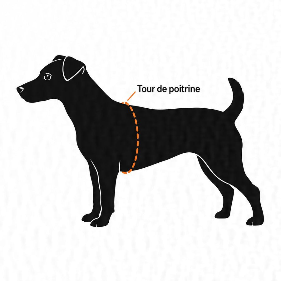Trouver la bonne taille