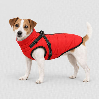 Jack Russell en manteau rouge, tailles XL et 2XL