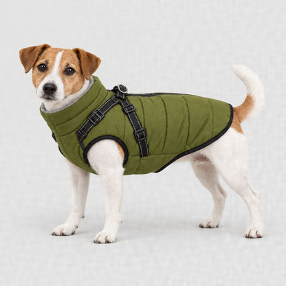 Jack Russell en manteau vert olive, tailles XL et 2XL